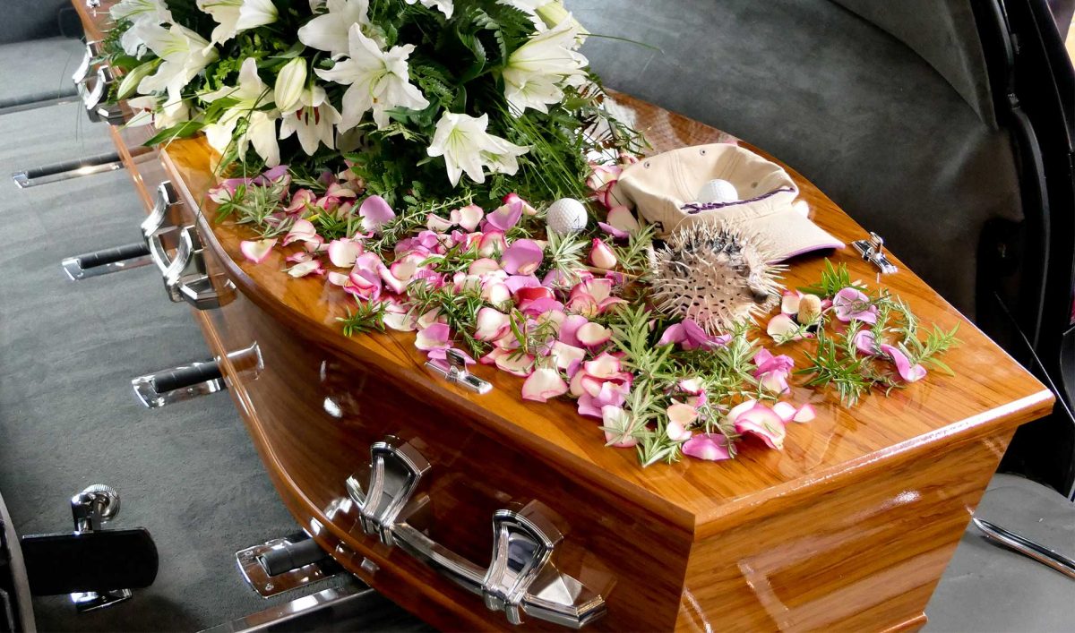 coffins for sale nz